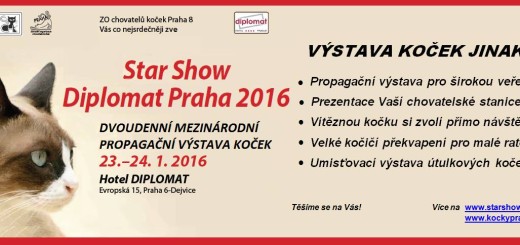 Star Show Diplomat Praha 2016