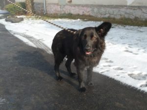 Betynka