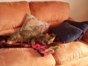 Sheila