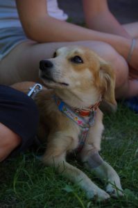Sally