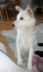 Sněhurka