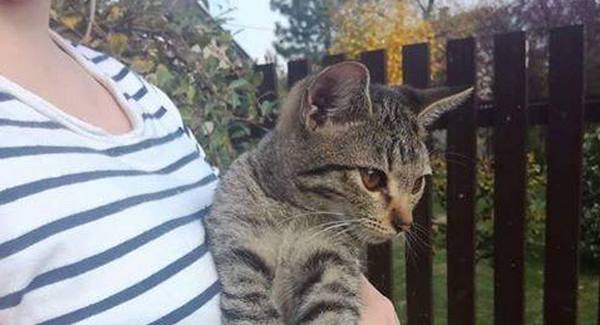 Katka