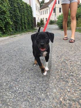Oskar