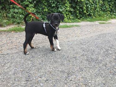 Oskar