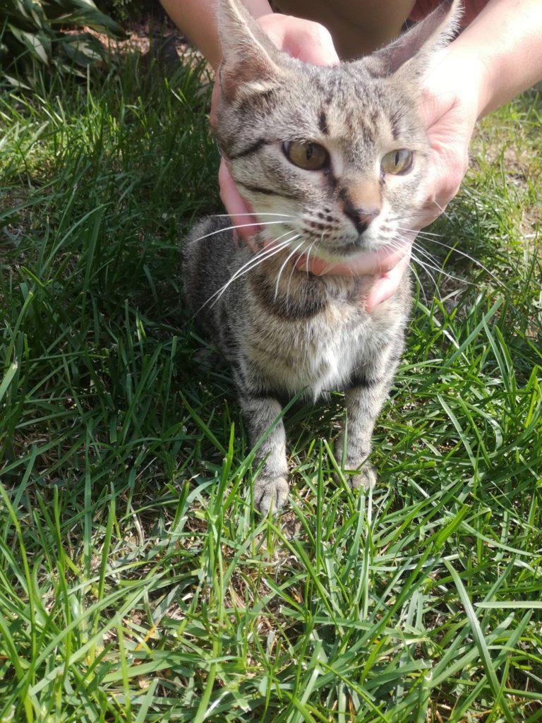 Emilka