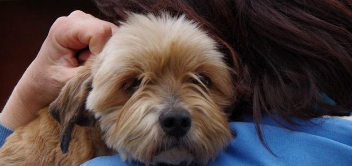Hugo