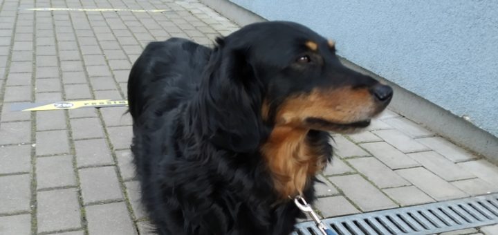 Lucinka