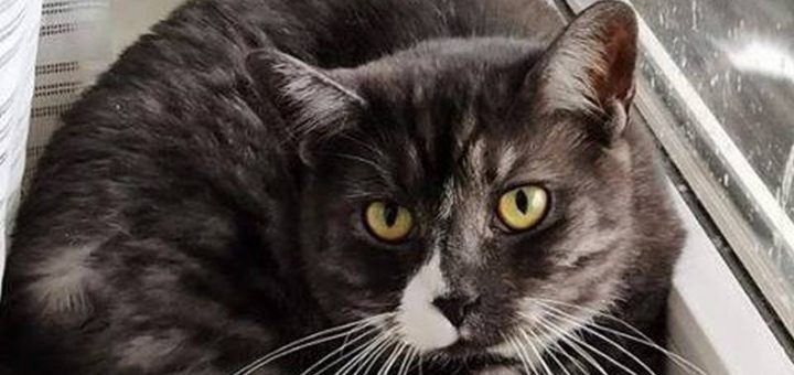 Tom