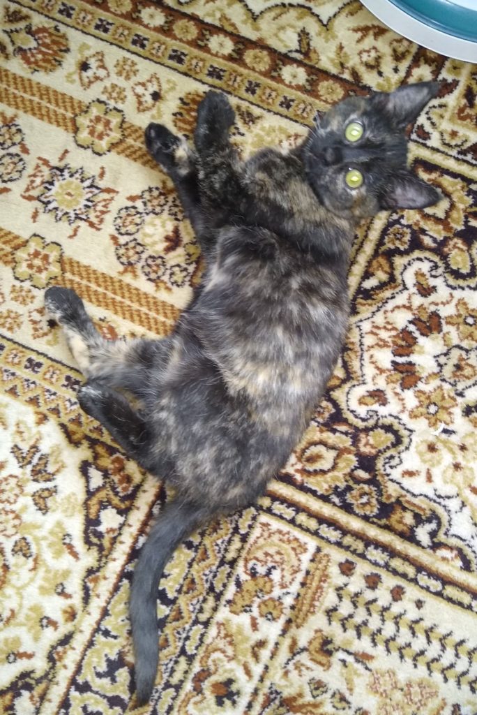 Effie