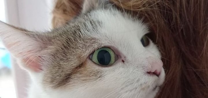 Márinka