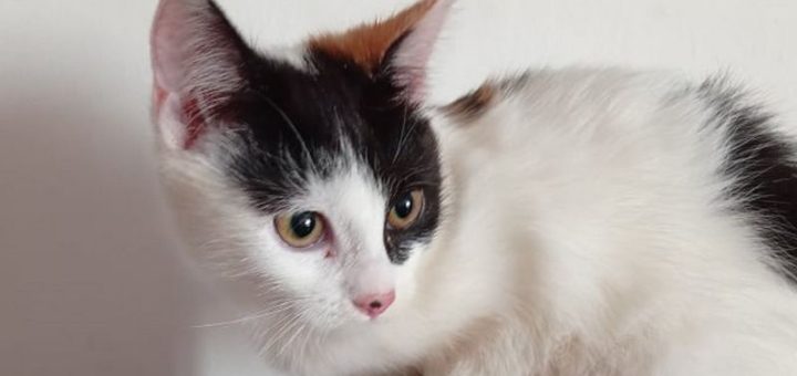 Filoména