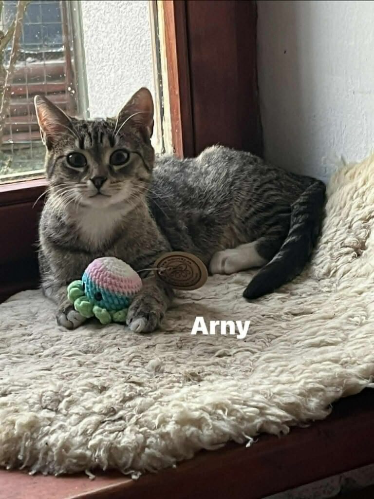 Arny