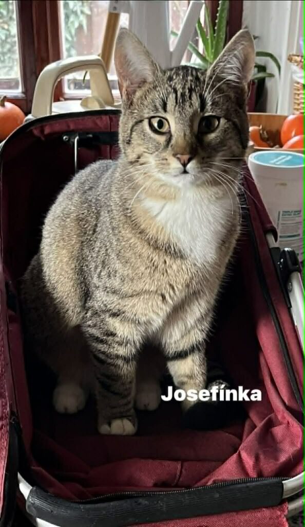 Josefínka
