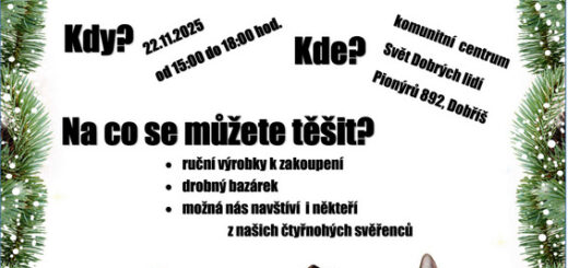 předvánoční aukce