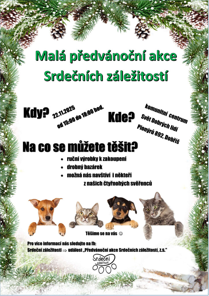 předvánoční aukce