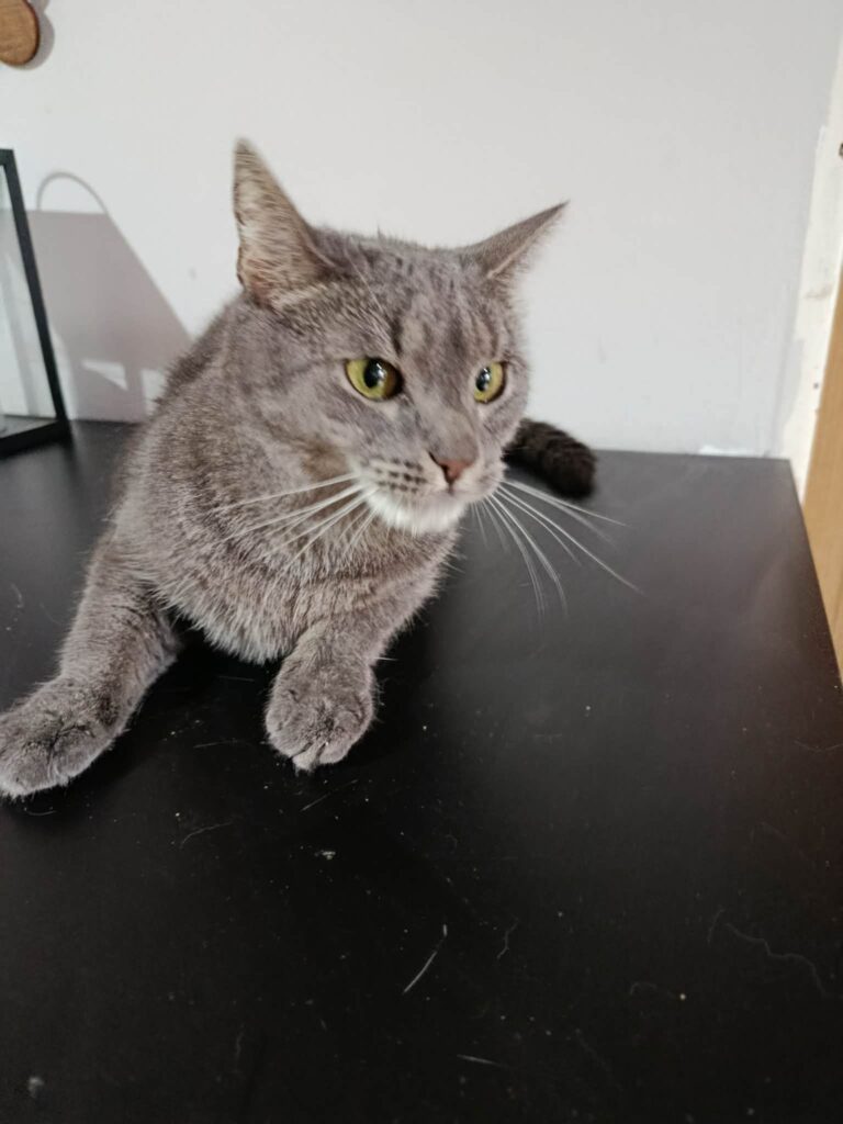 Jerry