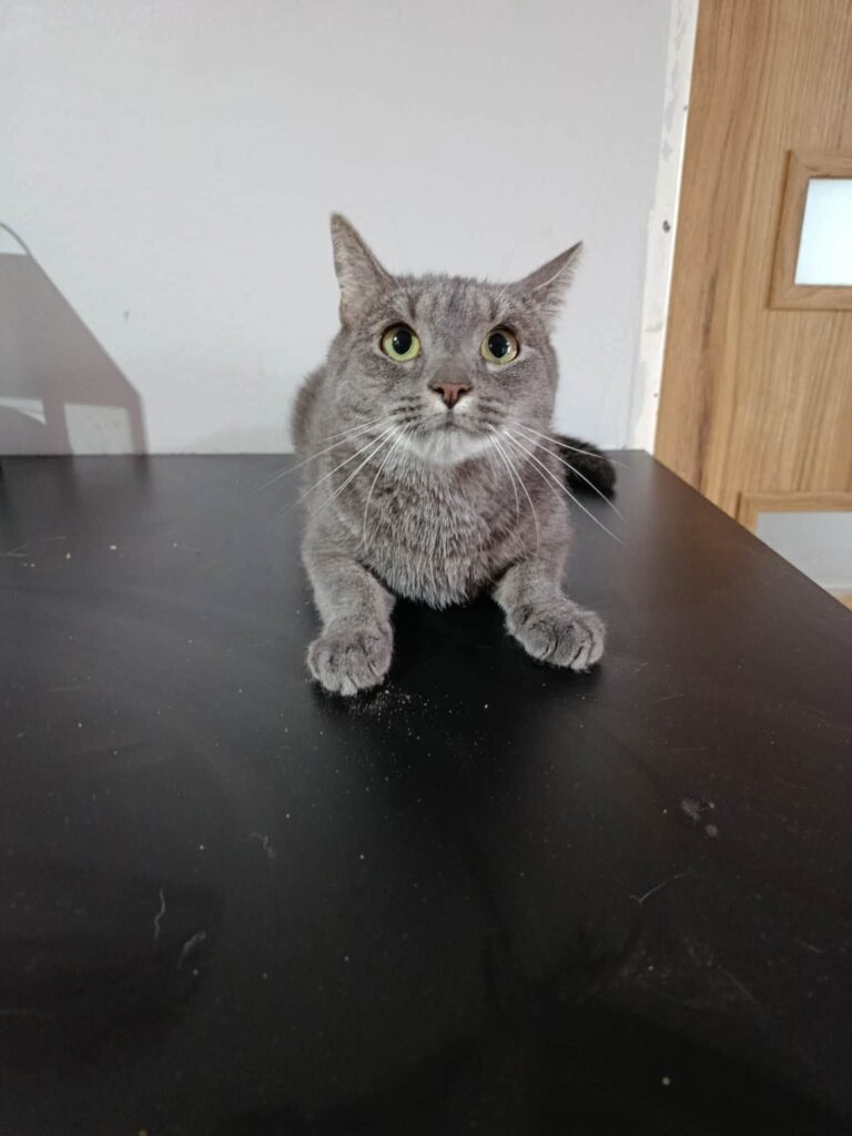 Jerry