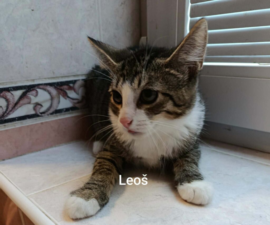Leoš