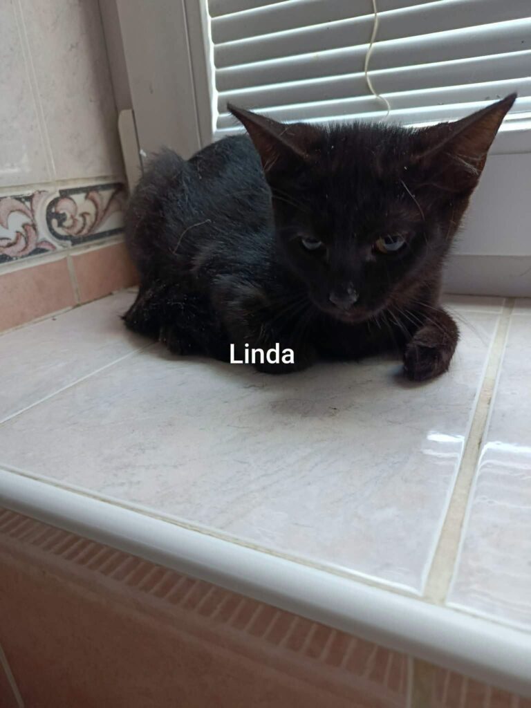 Linda